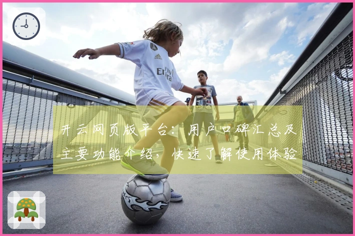 开云网页版平台：用户口碑汇总及主要功能介绍，快速了解使用体验！