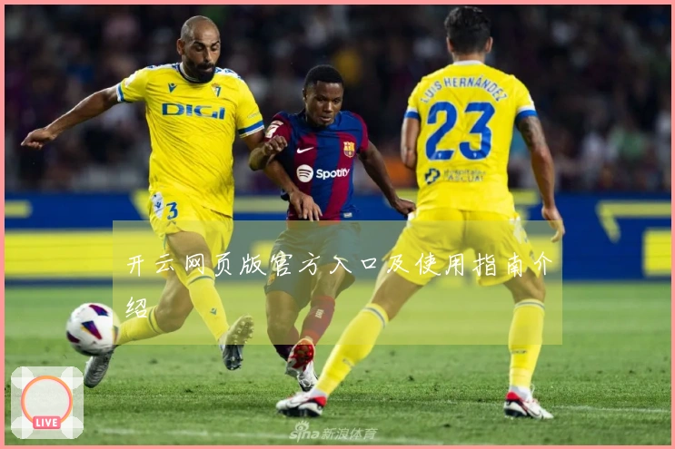 开云网页版官方入口及使用指南介绍