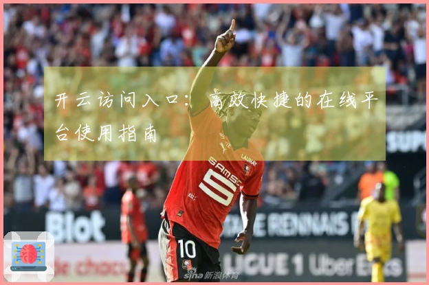 开云访问入口：高效快捷的在线平台使用指南