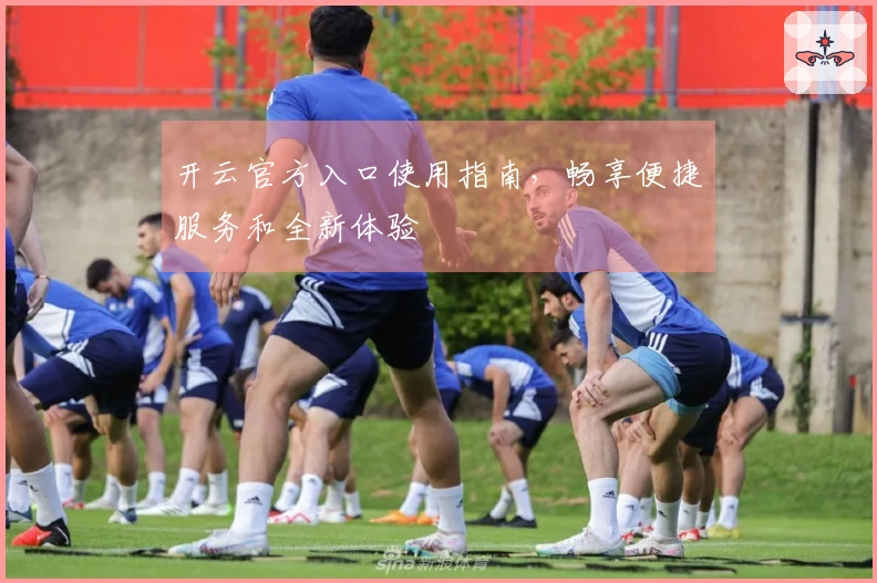 开云官方入口使用指南，畅享便捷服务和全新体验